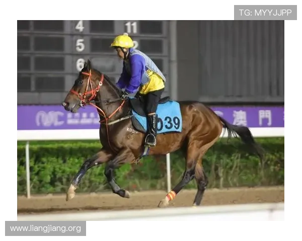 2020澳门赛马比赛具体日期安排及赛事时间表全攻略