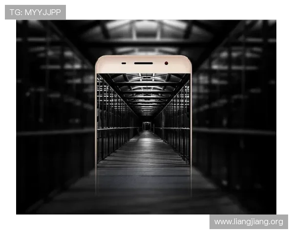 永利手机版会员登录页面优化，提升用户体验确保每次登录都顺畅无阻